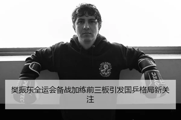 樊振东全运会备战加练前三板引发国乒格局新关注